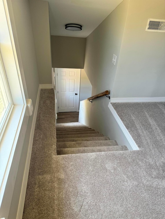 staircase featuring carpet floors