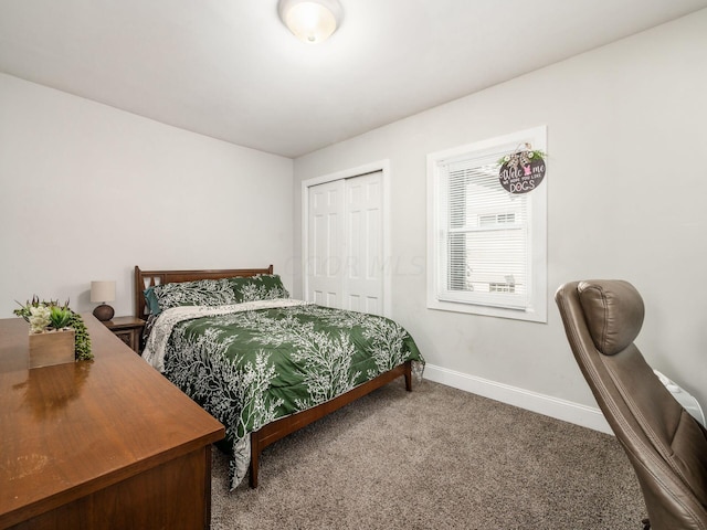 bedroom with carpet flooring and a closet