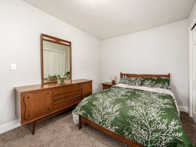 bedroom featuring carpet flooring and a closet