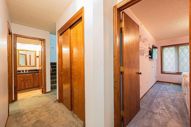 hallway with lofted ceiling, carpet floors, and a textured ceiling