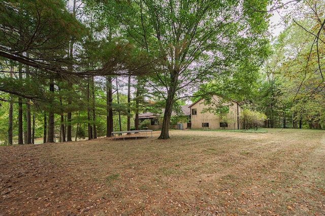 view of yard featuring a trampoline