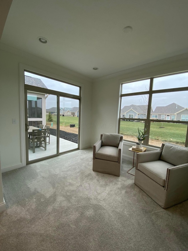 unfurnished room with light carpet and crown molding