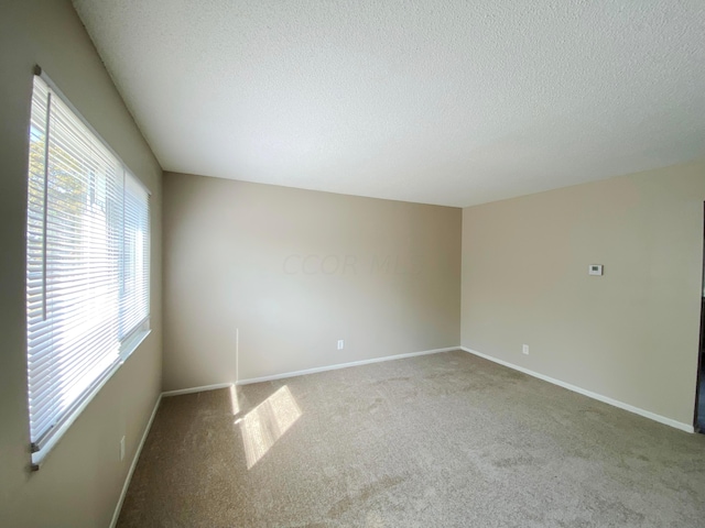 unfurnished room featuring a textured ceiling and light colored carpet