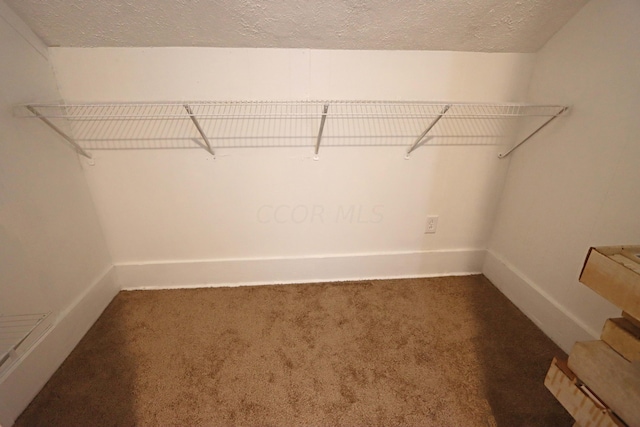 spacious closet with dark colored carpet