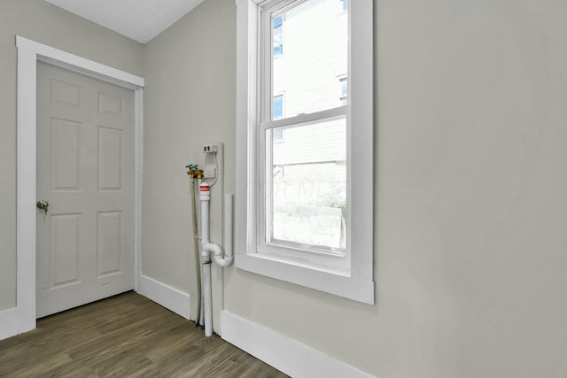 foyer featuring plenty of natural light and dark wood-type flooring