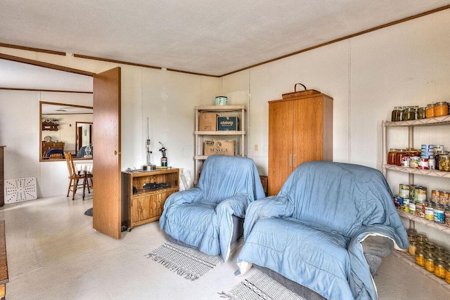 living area featuring lofted ceiling, a textured ceiling, and ornamental molding