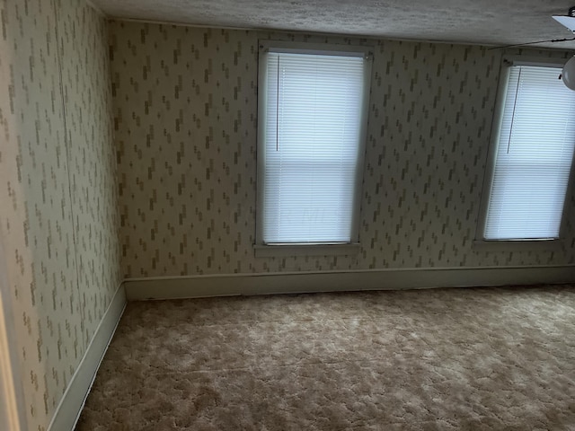 empty room with carpet flooring and a textured ceiling