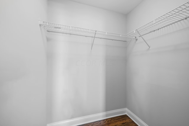 spacious closet with dark hardwood / wood-style flooring