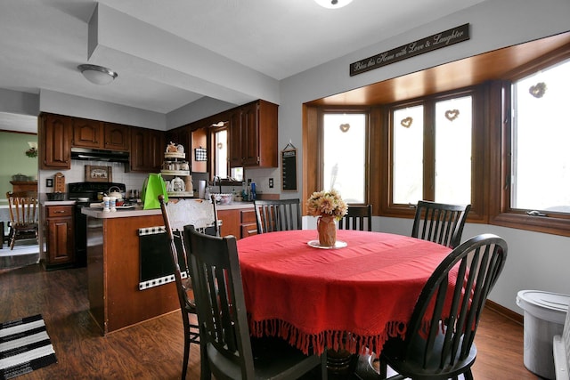 dining area with dark hardwood / wood-style floors