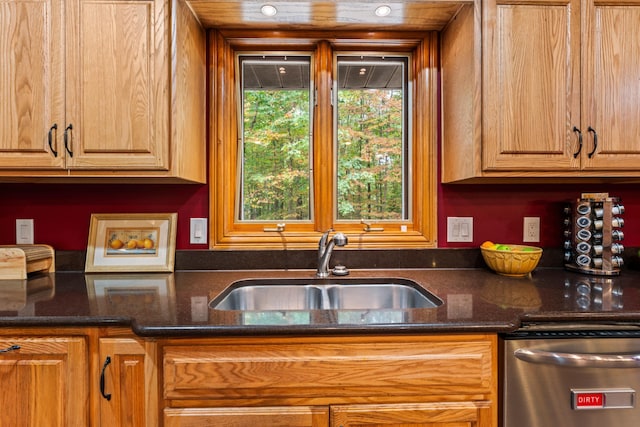 kitchen with stainless steel dishwasher, sink, and dark stone counters