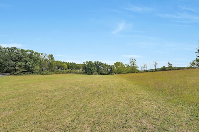 view of yard with a rural view