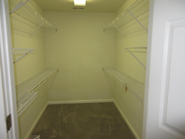 spacious closet with dark colored carpet