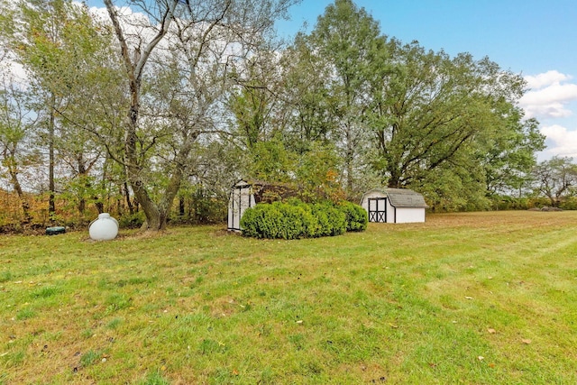 view of yard with a storage unit