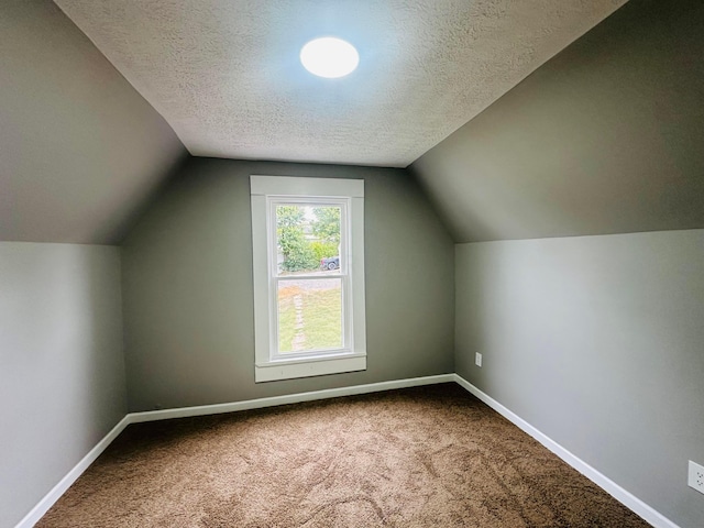 additional living space with carpet flooring, lofted ceiling, and a textured ceiling