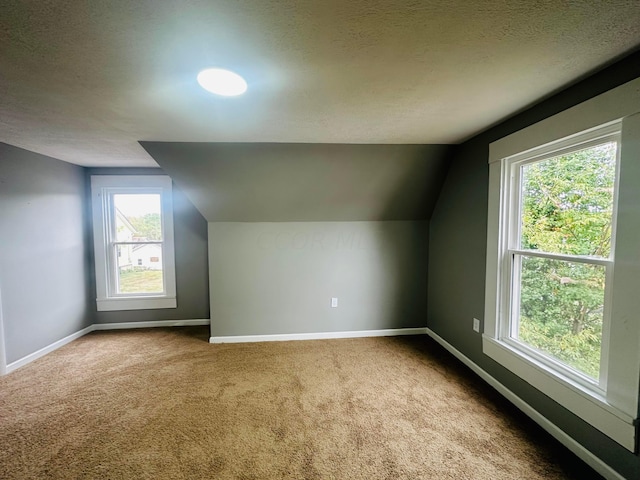 additional living space featuring carpet flooring, a textured ceiling, a wealth of natural light, and lofted ceiling