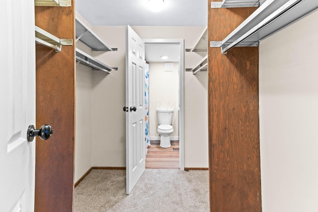 spacious closet featuring light carpet