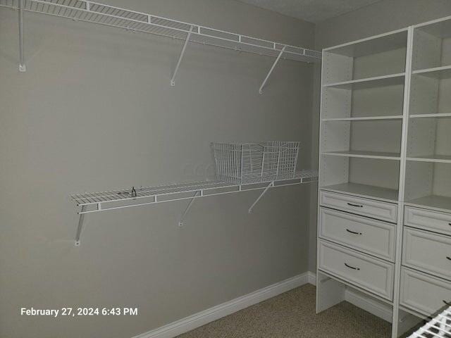 walk in closet with light carpet