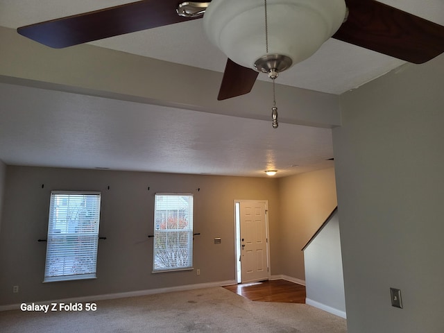 carpeted foyer entrance with a wealth of natural light