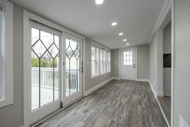 entryway featuring wood-type flooring