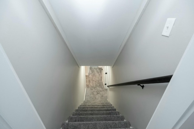 staircase with carpet floors