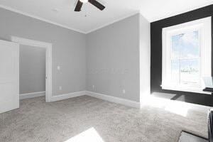 1571 Dyer Rd, Grove City, OH 43123 - unfurnished bedroom featuring carpet flooring, ceiling fan, and ornamental molding