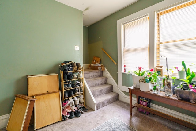 staircase featuring carpet