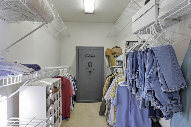 spacious closet featuring carpet