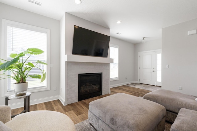 living room featuring a fireplace, plenty of natural light, and light wood-type flooring