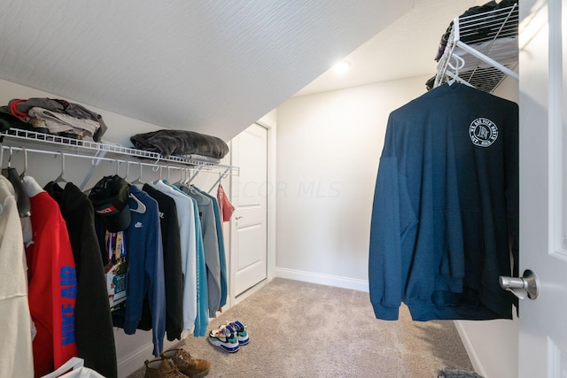 spacious closet with light colored carpet