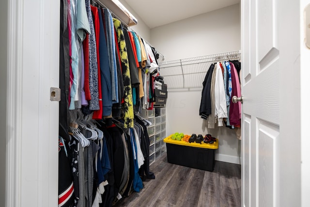 walk in closet featuring dark hardwood / wood-style flooring