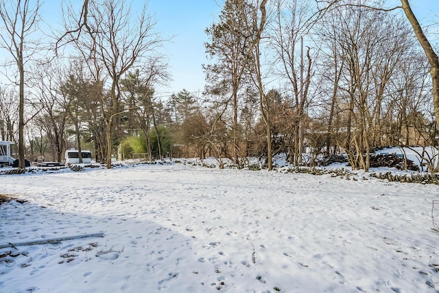 view of yard layered in snow