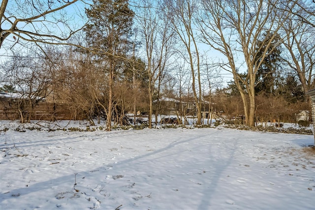 view of yard covered in snow