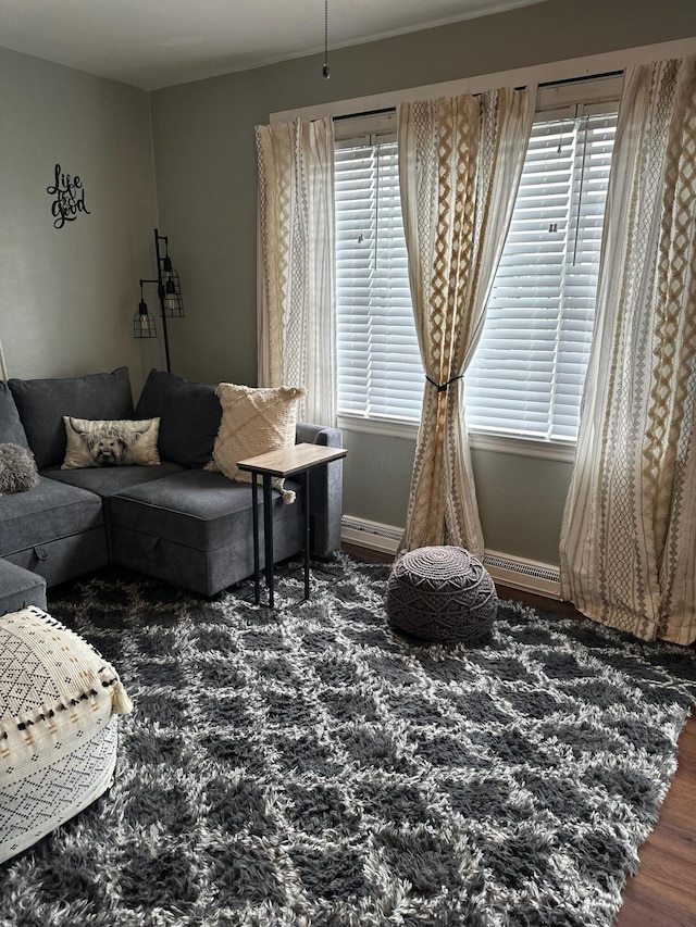 living room with dark wood-type flooring