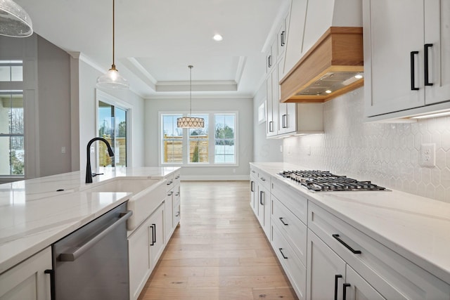 kitchen featuring stainless steel appliances, a raised ceiling, white cabinetry, and custom exhaust hood