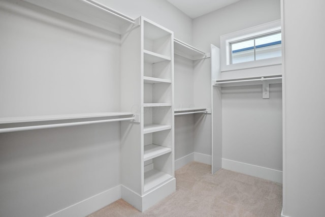 spacious closet with light colored carpet