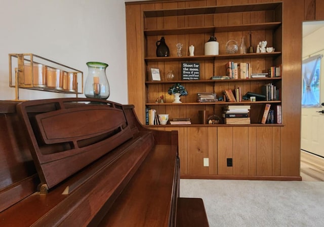 miscellaneous room featuring built in shelves and light colored carpet