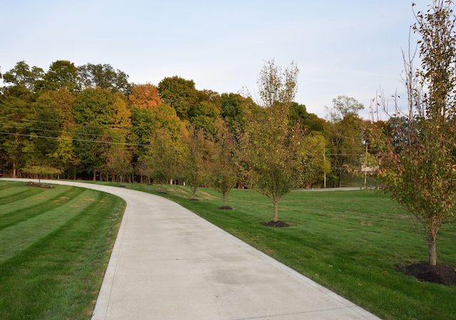 surrounding community featuring a lawn