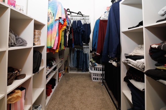 walk in closet with carpet