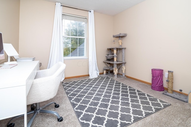 view of carpeted home office