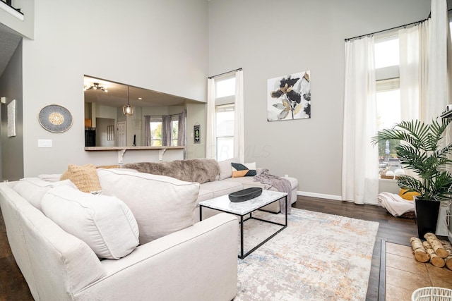 living room featuring a healthy amount of sunlight, wood-type flooring, and a high ceiling