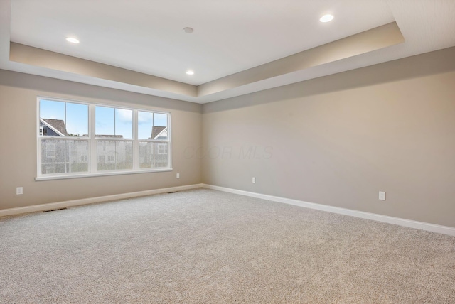 unfurnished room with carpet floors and a raised ceiling