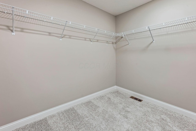 spacious closet with carpet