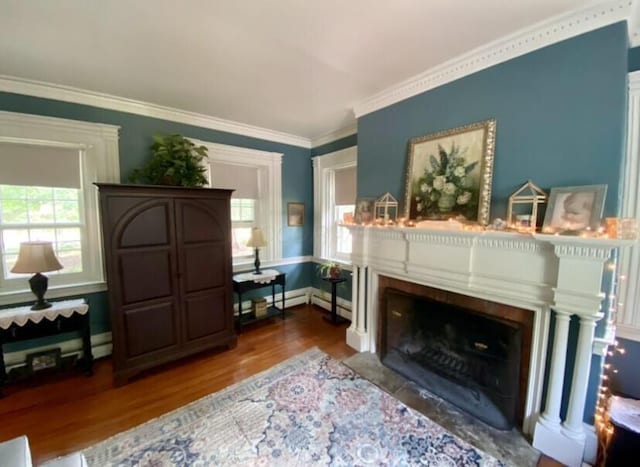 sitting room with hardwood / wood-style floors and ornamental molding