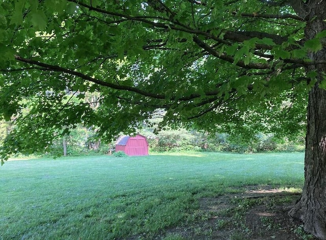 view of yard with a storage shed