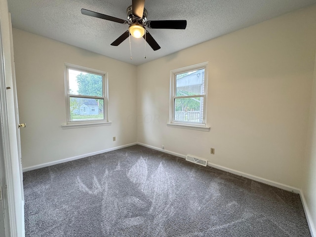 spare room featuring carpet flooring, a wealth of natural light, and a textured ceiling