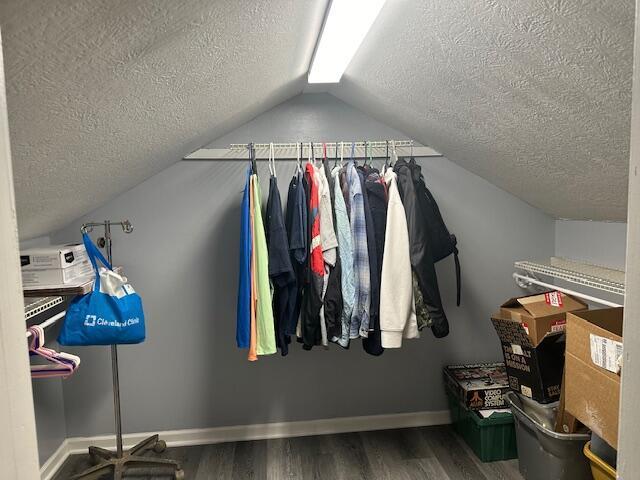 spacious closet featuring wood-type flooring and vaulted ceiling