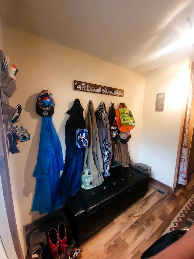 mudroom featuring hardwood / wood-style flooring