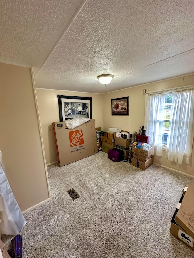 interior space with carpet floors and a textured ceiling