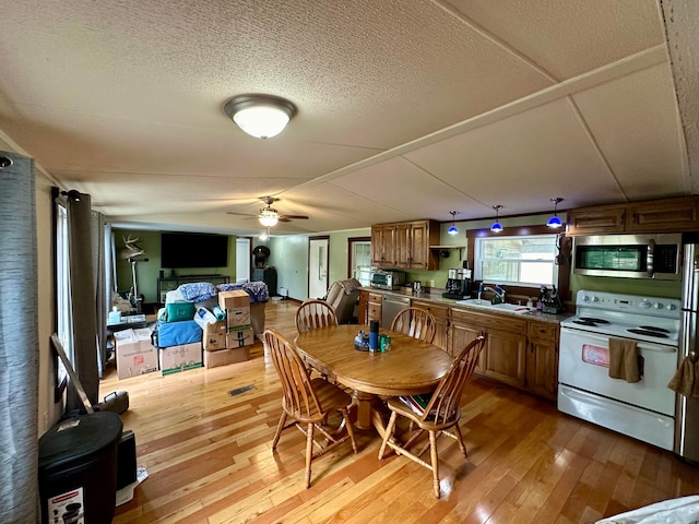 dining room with ceiling fan, sink, and light hardwood / wood-style floors