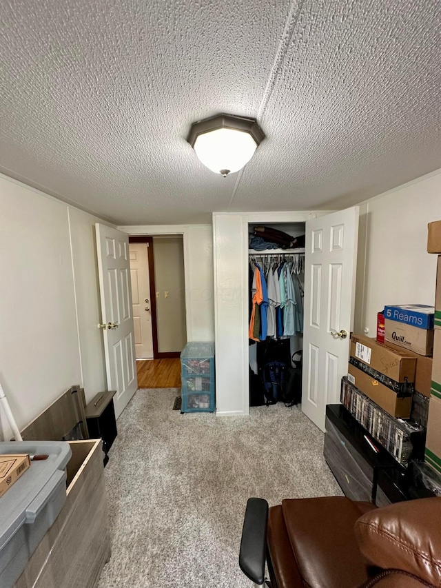 interior space featuring carpet, a textured ceiling, and a closet